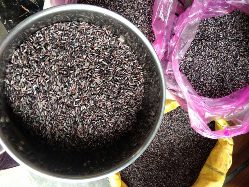 同城配送2019年农家新米紫米紫糯米5斤装